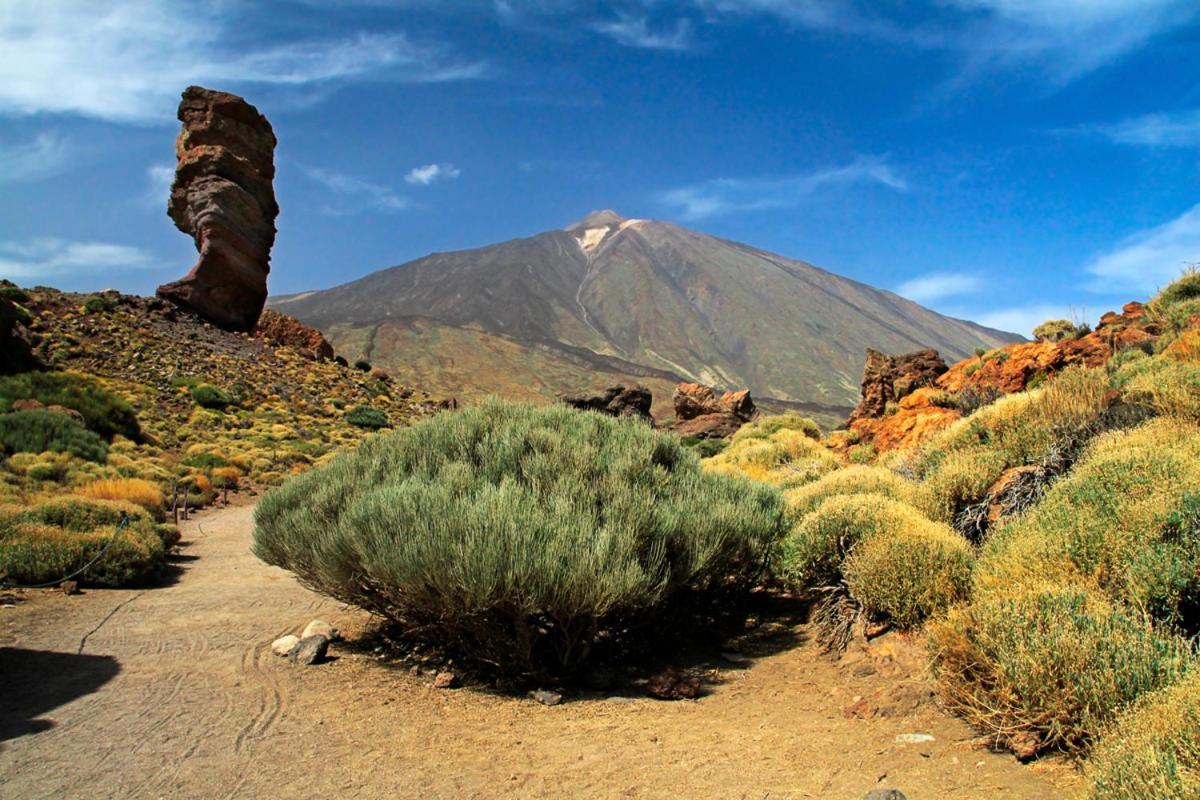 Sweet Home Los Cristianos 阿罗纳 外观 照片
